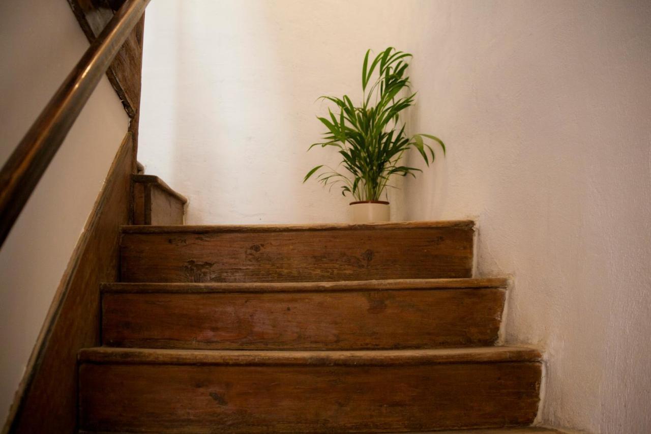 Amarilis Rooms Grožnjan Kültér fotó
